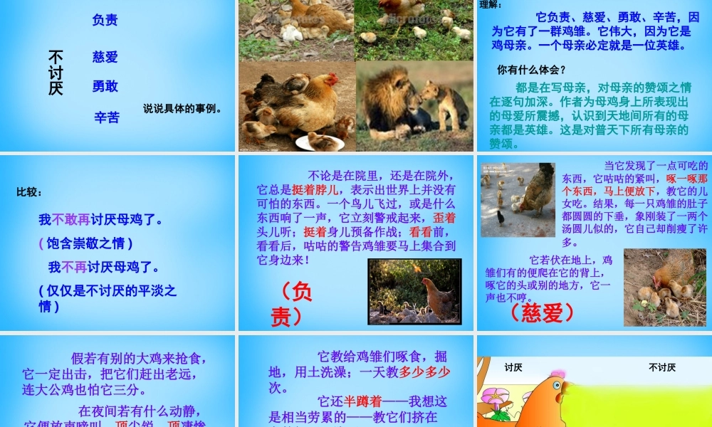 秋五年级语文上册《母鸡》课件1 沪教版-沪教版小学五年级上册语文课件