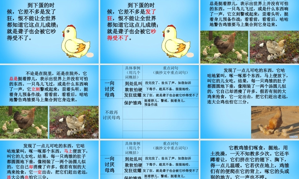 秋五年级语文上册《母鸡》课件2 沪教版-沪教版小学五年级上册语文课件