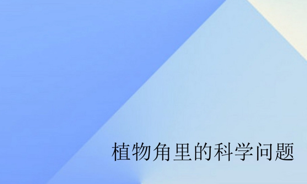 秋六年级科学上册 1.1《植物角里的科学问题》课件3 大象版-大象版小学六年级上册自然科学课件
