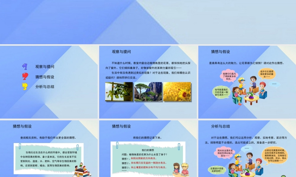 秋六年级科学上册 1.1《植物角里的科学问题》课件3 大象版-大象版小学六年级上册自然科学课件