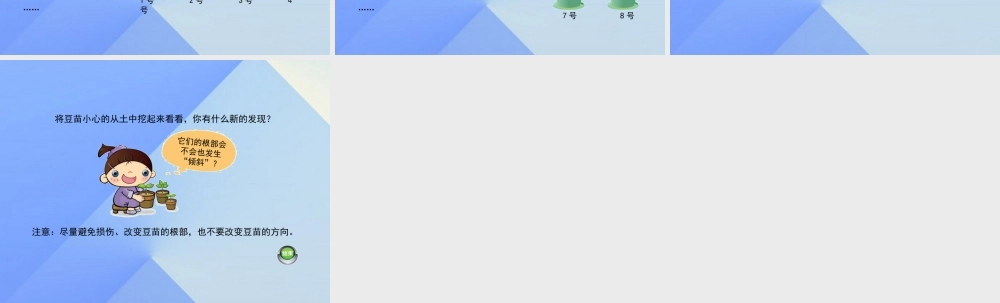 秋六年级科学上册 1.2《在实验中探秘》课件1 大象版-大象版小学六年级上册自然科学课件