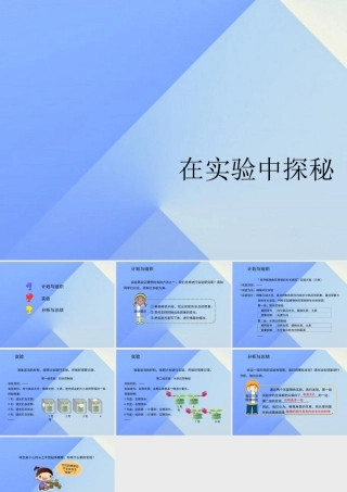 秋六年级科学上册 1.2《在实验中探秘》课件1 大象版-大象版小学六年级上册自然科学课件