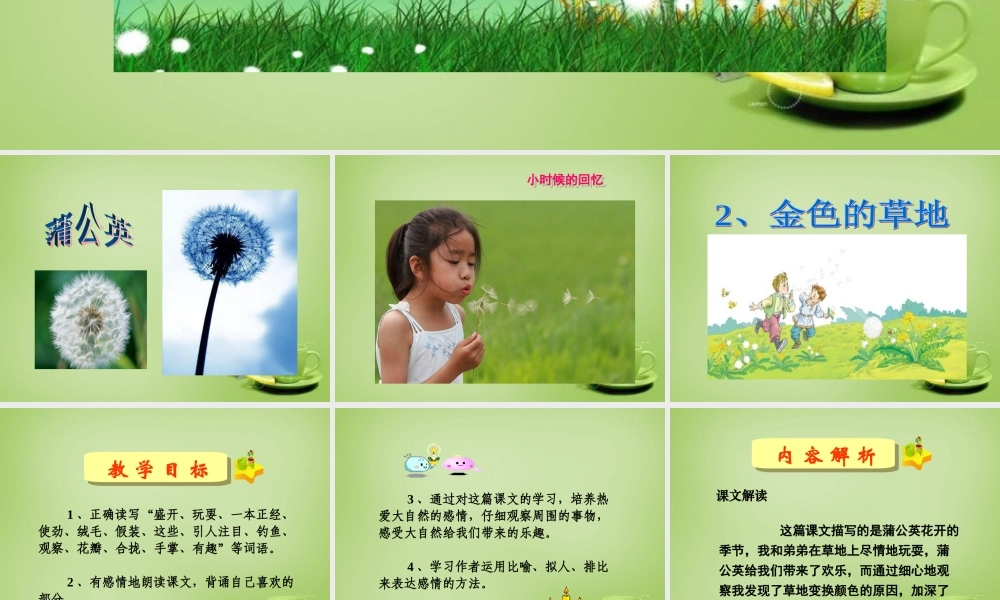 秋三年级语文上册《金色的草地》课件1 北师大版-北师大版小学三年级上册语文课件