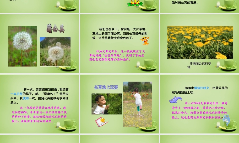 秋三年级语文上册《金色的草地》课件1 北师大版-北师大版小学三年级上册语文课件