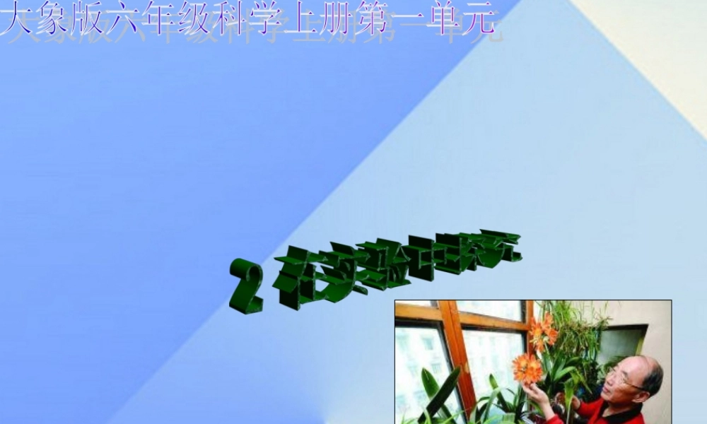 秋六年级科学上册 1.2《在实验中探秘》课件2 大象版-大象版小学六年级上册自然科学课件