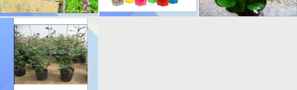 秋六年级科学上册 1.2《在实验中探秘》课件2 大象版-大象版小学六年级上册自然科学课件