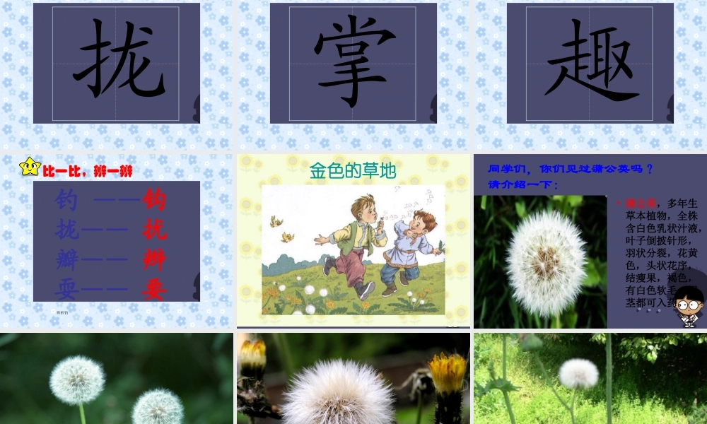 秋三年级语文上册《金色的草地》课件1 冀教版-冀教版小学三年级上册语文课件