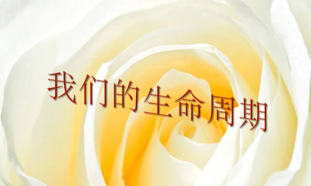 秋五年级科学上册 4.3《生命的周期》课件2 大象版-大象版小学五年级上册自然科学课件