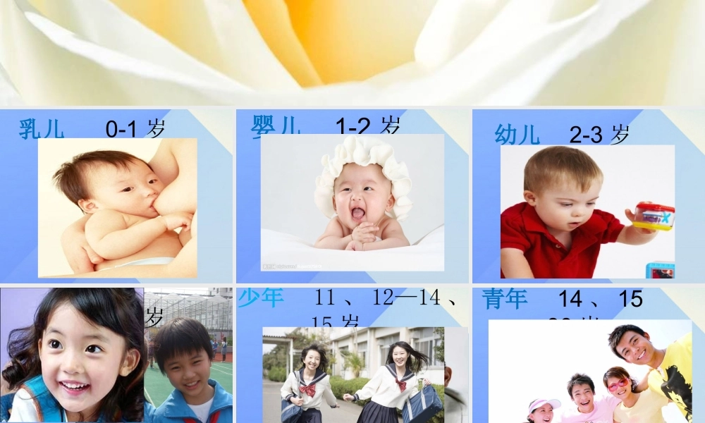 秋五年级科学上册 4.3《生命的周期》课件2 大象版-大象版小学五年级上册自然科学课件