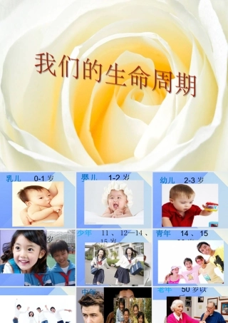 秋五年级科学上册 4.3《生命的周期》课件2 大象版-大象版小学五年级上册自然科学课件