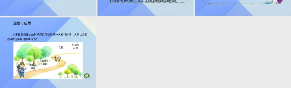 秋六年级科学上册 1.3《研究仍在继续》课件1 大象版-大象版小学六年级上册自然科学课件
