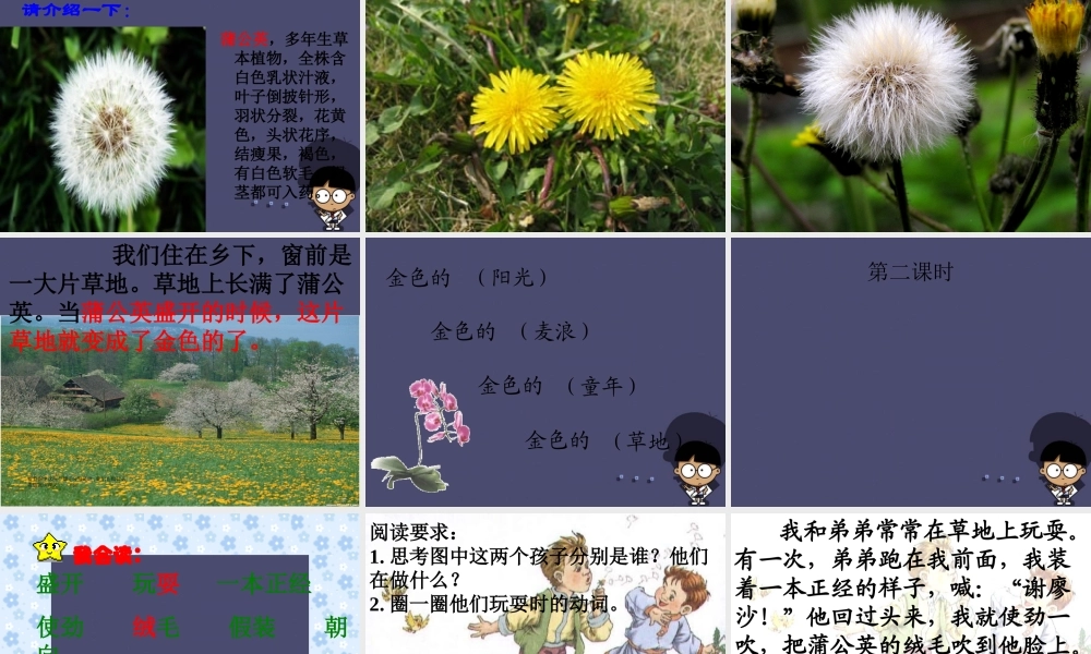 秋三年级语文上册《金色的草地》课件2 冀教版-冀教版小学三年级上册语文课件