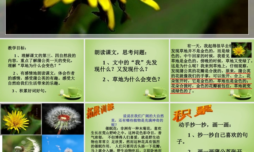 秋三年级语文上册《金色的草地》课件3 北师大版-北师大版小学三年级上册语文课件