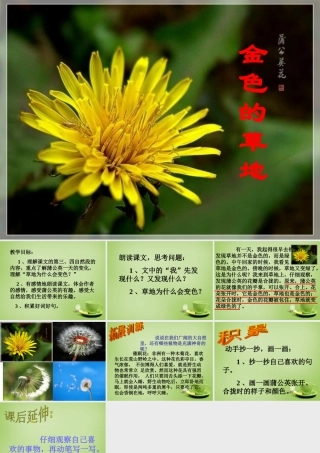 秋三年级语文上册《金色的草地》课件3 北师大版-北师大版小学三年级上册语文课件