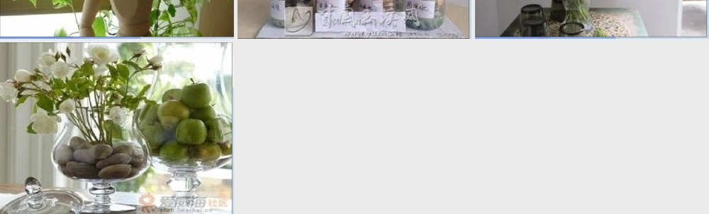 秋六年级科学上册 1.3《研究仍在继续》课件2 大象版-大象版小学六年级上册自然科学课件