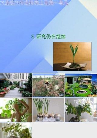 秋六年级科学上册 1.3《研究仍在继续》课件2 大象版-大象版小学六年级上册自然科学课件