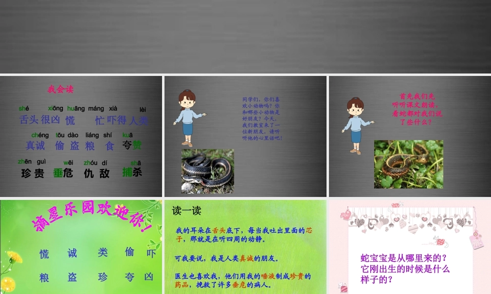 秋二年级语文上册《我是你的朋友》课件1 冀教版-冀教版小学二年级上册语文课件