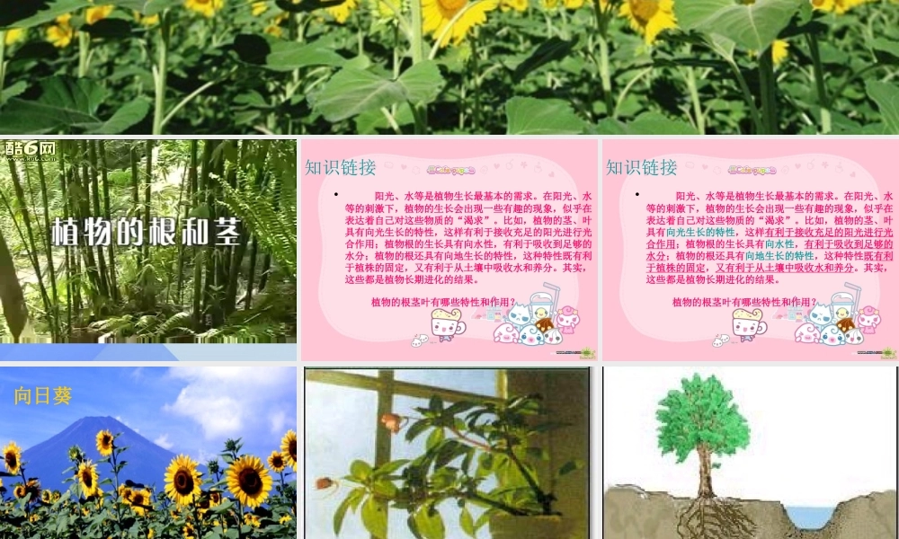 秋六年级科学上册 1.3《研究仍在继续》课件3 大象版-大象版小学六年级上册自然科学课件