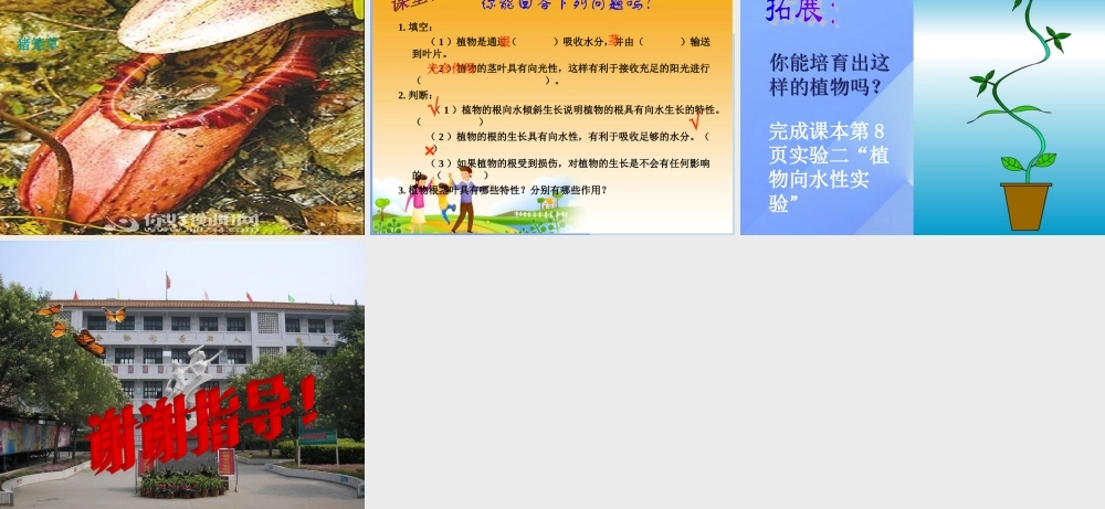 秋六年级科学上册 1.3《研究仍在继续》课件3 大象版-大象版小学六年级上册自然科学课件