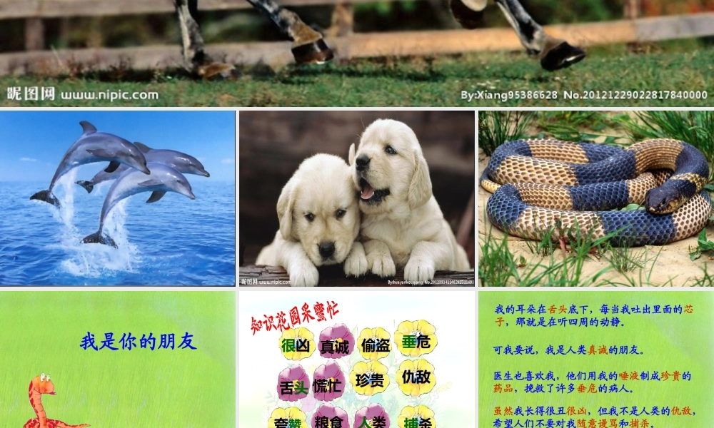 秋二年级语文上册《我是你的朋友》课件2 冀教版-冀教版小学二年级上册语文课件