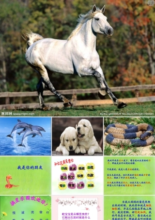 秋二年级语文上册《我是你的朋友》课件2 冀教版-冀教版小学二年级上册语文课件