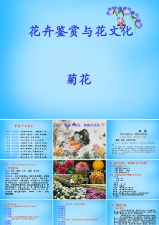 秋三年级语文上册《菊花》课件1 沪教版-沪教版小学三年级上册语文课件