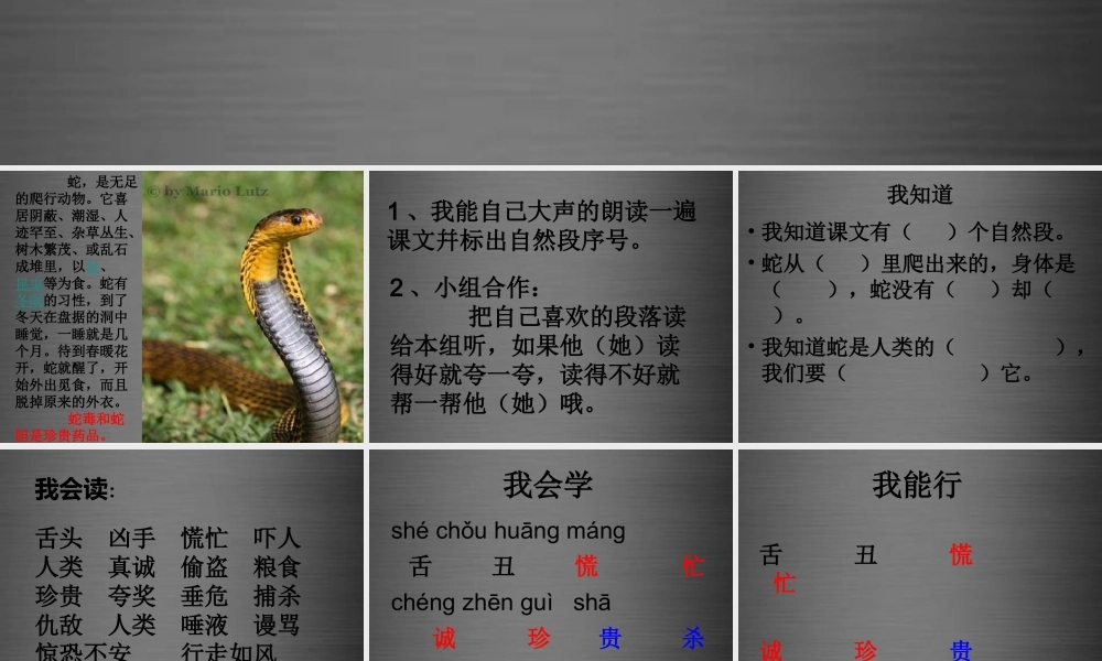 秋二年级语文上册《我是你的朋友》课件3 冀教版-冀教版小学二年级上册语文课件