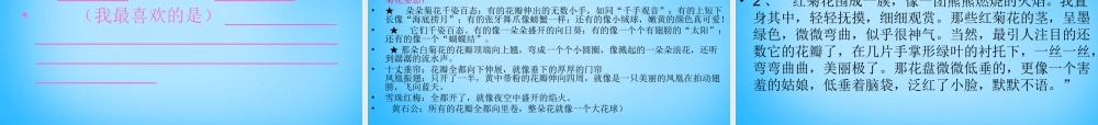 秋三年级语文上册《菊花》课件2 沪教版-沪教版小学三年级上册语文课件