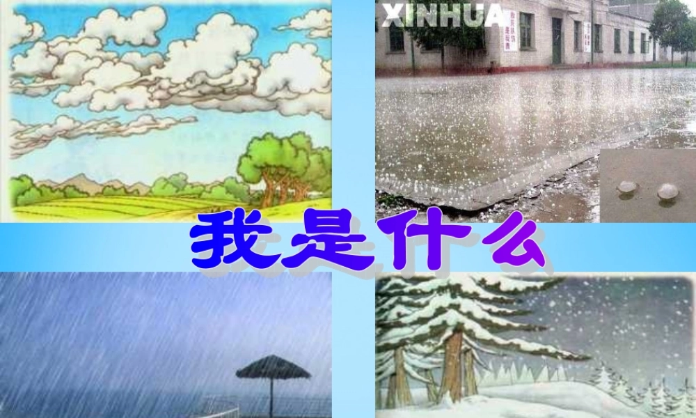 秋二年级语文上册《我是什么》课件1 沪教版-沪教版小学二年级上册语文课件