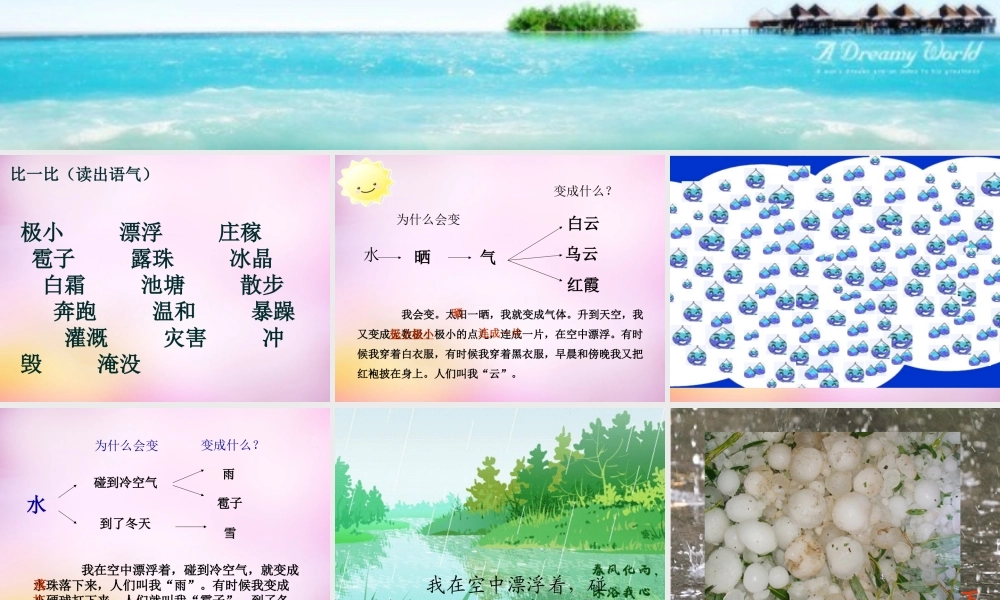 秋二年级语文上册《我是什么》课件2 北师大版-北师大版小学二年级上册语文课件