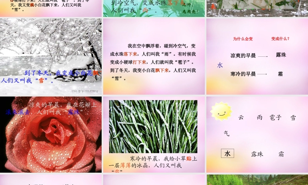 秋二年级语文上册《我是什么》课件2 北师大版-北师大版小学二年级上册语文课件