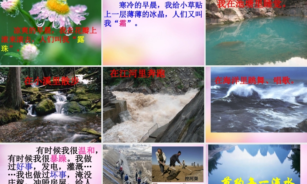 秋二年级语文上册《我是什么》课件3 北师大版-北师大版小学二年级上册语文课件