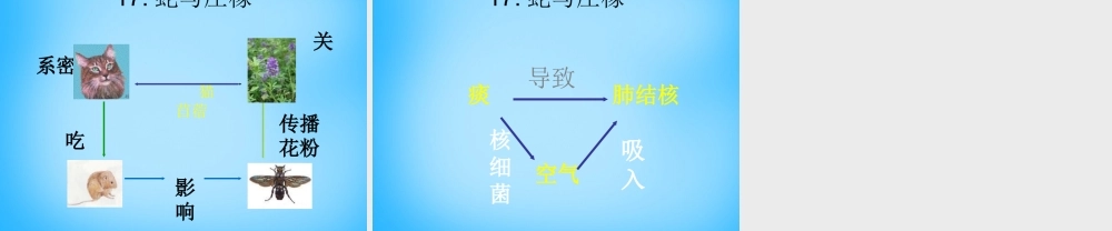 秋五年级语文上册《蛇与庄稼》课件1 沪教版-沪教版小学五年级上册语文课件