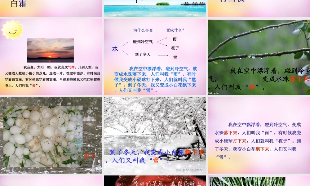 秋二年级语文上册《我是什么》课件4 北师大版-北师大版小学二年级上册语文课件