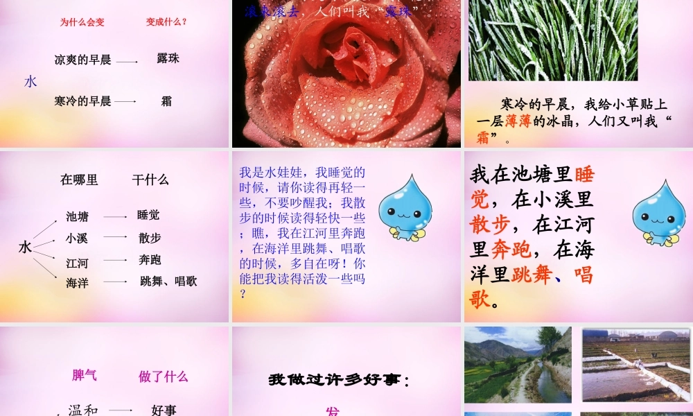 秋二年级语文上册《我是什么》课件4 北师大版-北师大版小学二年级上册语文课件