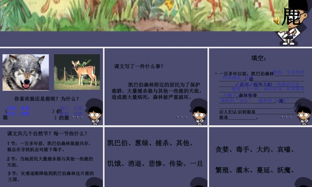 秋三年级语文上册《狼和鹿》课件1 冀教版-冀教版小学三年级上册语文课件