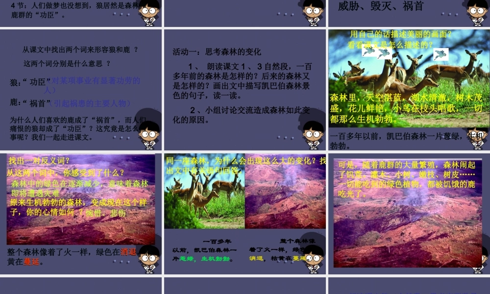 秋三年级语文上册《狼和鹿》课件1 冀教版-冀教版小学三年级上册语文课件