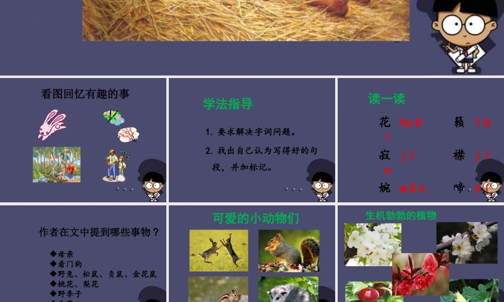 秋五年级语文上册《生命中最美好的时刻》课件2 冀教版-冀教版小学五年级上册语文课件