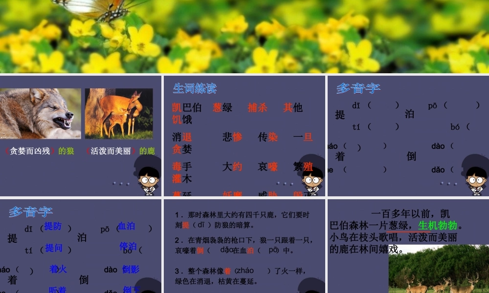 秋三年级语文上册《狼和鹿》课件2 冀教版-冀教版小学三年级上册语文课件