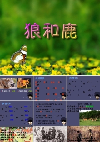 秋三年级语文上册《狼和鹿》课件2 冀教版-冀教版小学三年级上册语文课件