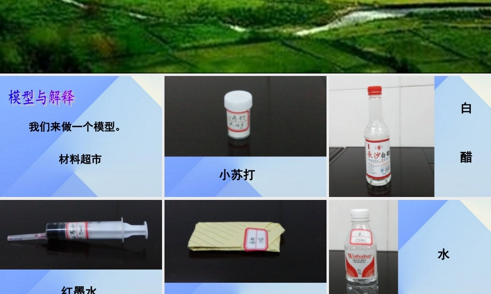 秋五年级科学上册 5.3《地球“变脸”之谜》课件4 大象版-大象版小学五年级上册自然科学课件