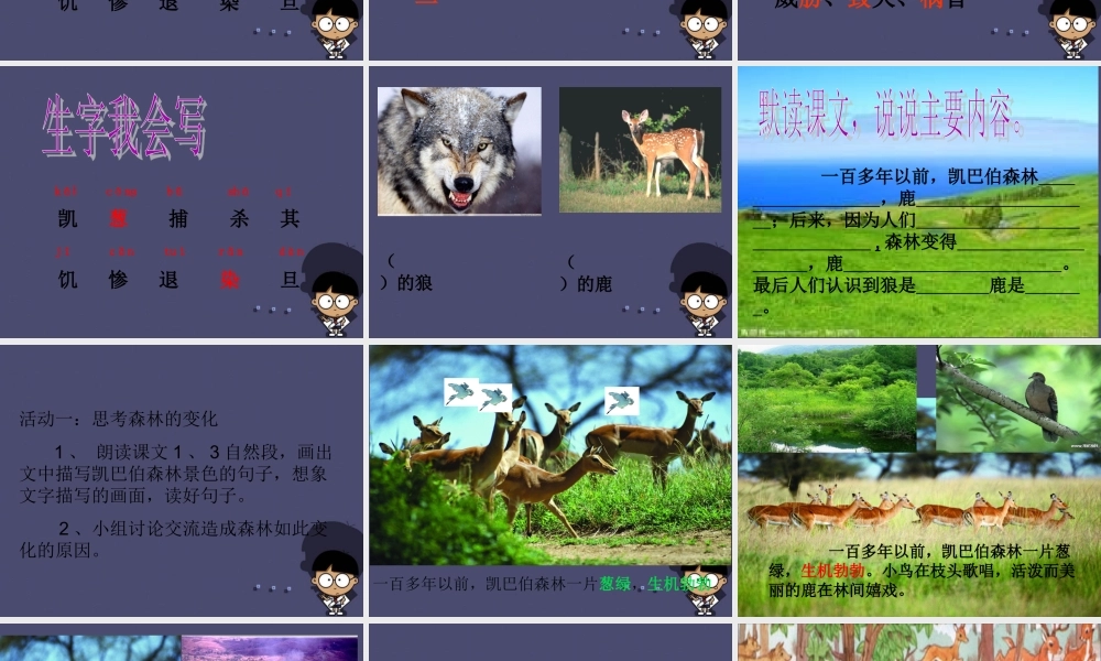 秋三年级语文上册《狼和鹿》课件3 冀教版-冀教版小学三年级上册语文课件