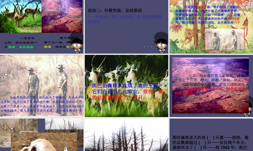 秋三年级语文上册《狼和鹿》课件3 冀教版-冀教版小学三年级上册语文课件