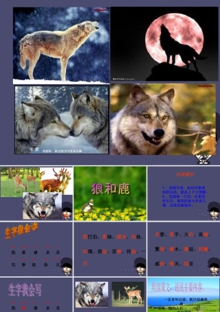 秋三年级语文上册《狼和鹿》课件3 冀教版-冀教版小学三年级上册语文课件