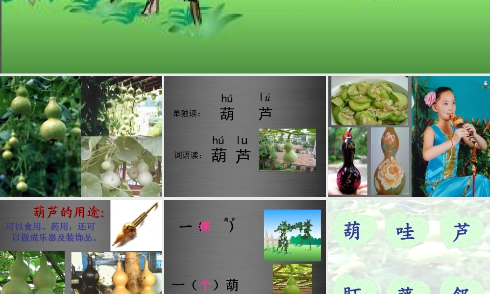 秋二年级语文上册《我要的是葫芦》课件2 冀教版-冀教版小学二年级上册语文课件