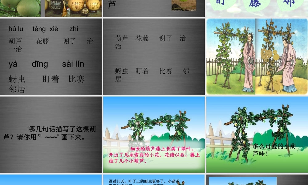 秋二年级语文上册《我要的是葫芦》课件2 冀教版-冀教版小学二年级上册语文课件