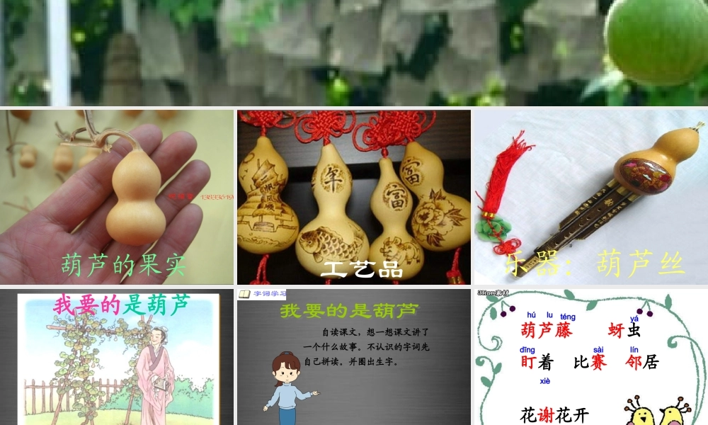 秋二年级语文上册《我要的是葫芦》课件3 冀教版-冀教版小学二年级上册语文课件