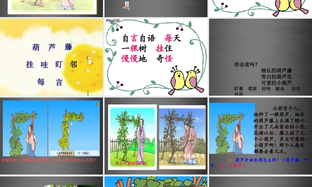 秋二年级语文上册《我要的是葫芦》课件3 冀教版-冀教版小学二年级上册语文课件