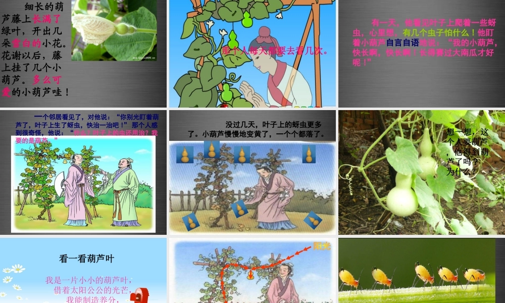 秋二年级语文上册《我要的是葫芦》课件3 冀教版-冀教版小学二年级上册语文课件