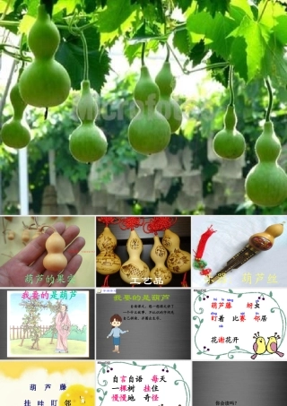秋二年级语文上册《我要的是葫芦》课件3 冀教版-冀教版小学二年级上册语文课件